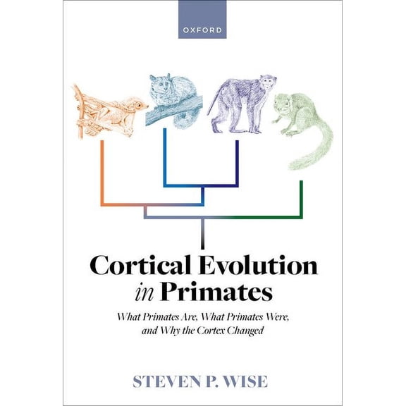 Cortical Evolution in Primates: What Primates Are, What Primates Were, and Why the Cortex Changed, (Hardcover)