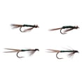 thumbnail interactive-video image 1 of Cortland Fairplay Prince Nymph Fly Assortment, Size 12, 4 Pack, 709348, 1 of 6
