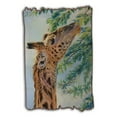 thumbnail image 1 of Cory Carlson LS1435TWB2436-BW 24 x 36 in. Giraffe Tattered Wood Board, 1 of 1