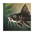 thumbnail image 1 of Corydoras Catfish Realism - Canvas, 1 of 10
