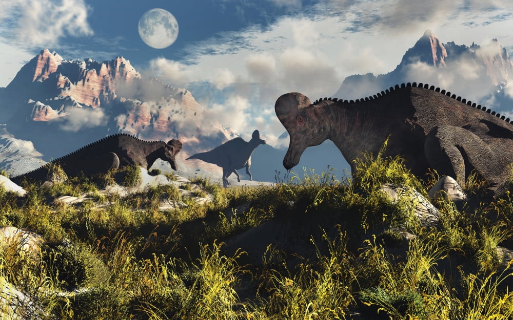 Corythosaurus nesting ground set during the Cretaceous Period Canvas Art - Mark StevensonStocktrek Images (36 x 23)