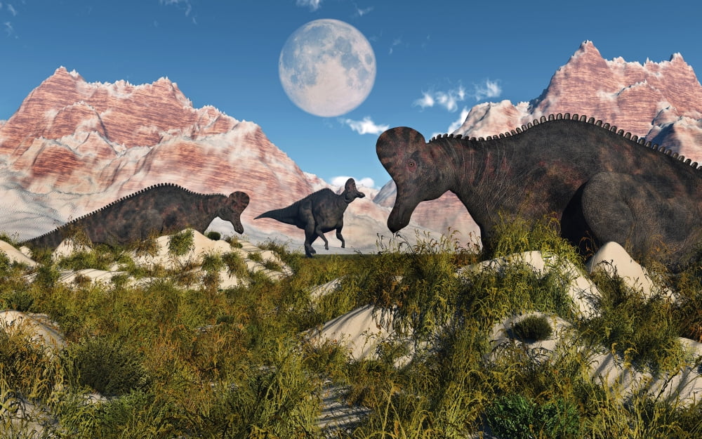 Corythosaurus nesting ground set during the Cretaceous Period Canvas Art - Mark StevensonStocktrek Images (36 x 23)