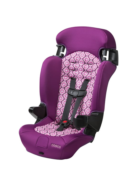 Cosco Kids Finale 2-in-1 Booster Car Seat, Rosette