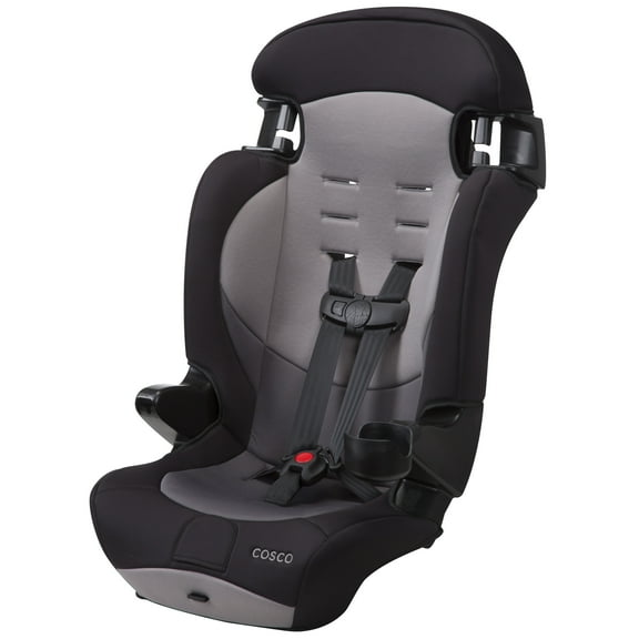 Cosco Kids Finale DX 2-in-1 Booster Car Seat, Dusk