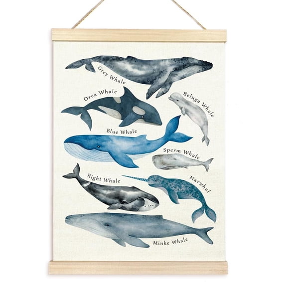 Cosemary Whales Educational Poster for Classroom Wall Chart Banners Whales Ocean Chart Poster Hanger for Toddler