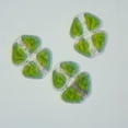 thumbnail image 1 of Cosmarium, Living Green Algae Culture, Enough Materials For A Class Of 30, 1 of 2