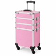 Cosmetic Makeup Case Tattoo Box, 4-in-1 Aluminum Trolley with Handle ...