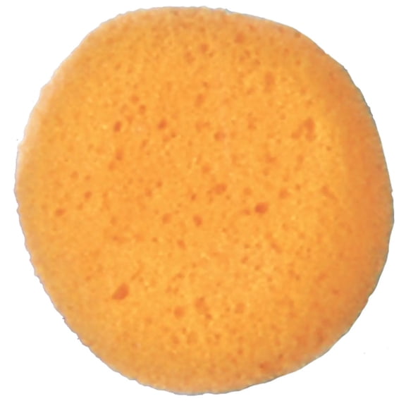 Cosmetic Sponge Adult Halloween Accessory