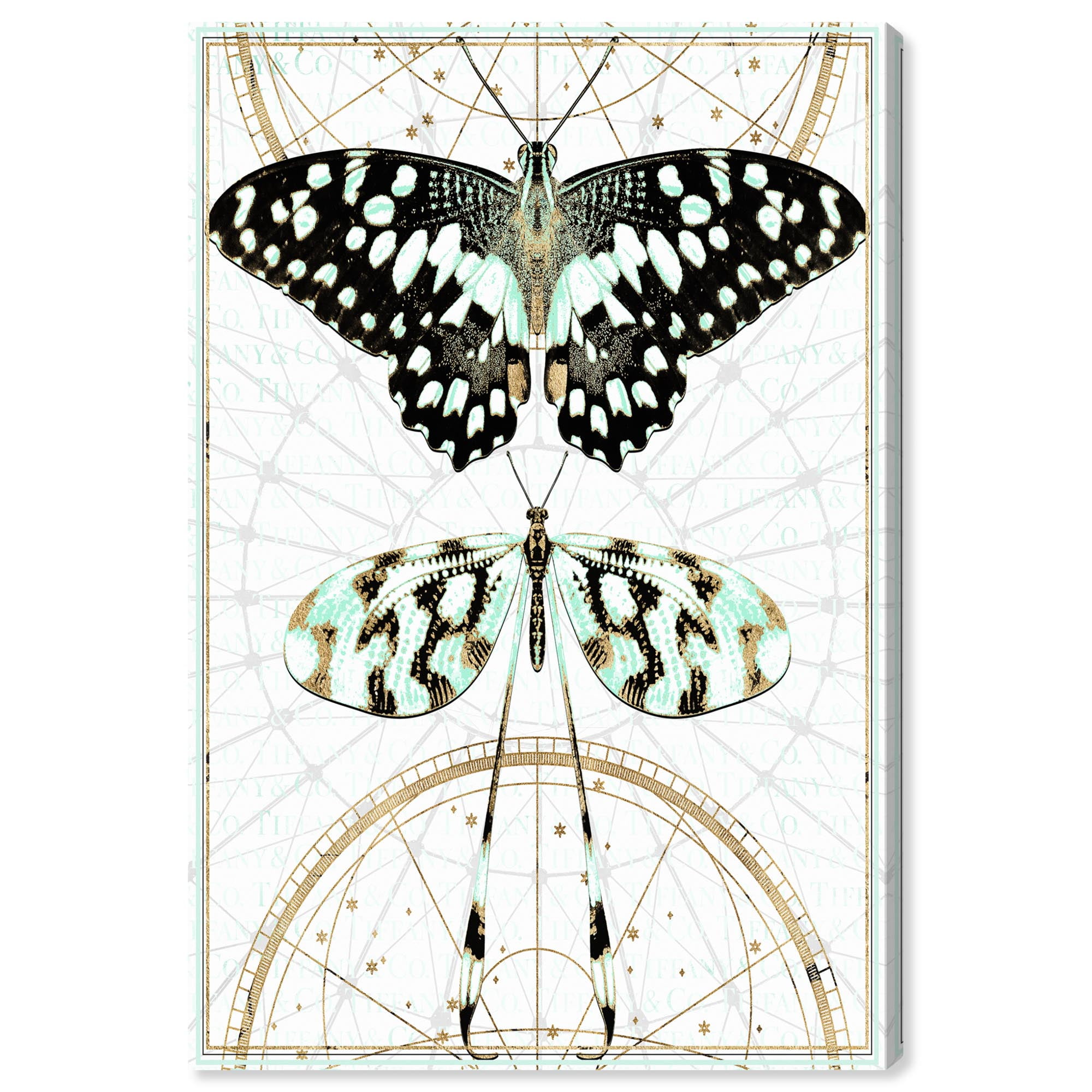 Cosmic Butterfly Duo 30" x 20" Canvas Art Prints