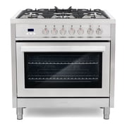 36 in. Stellar Collection 3.8 cu. ft. Dual Fuel Range in Stainless Steel