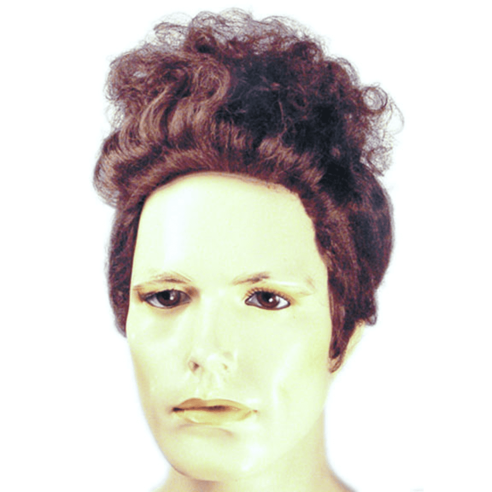 Cosmo Kramer Mens Wig Seinfeld Brown Curly Michael Richards Costume Hair