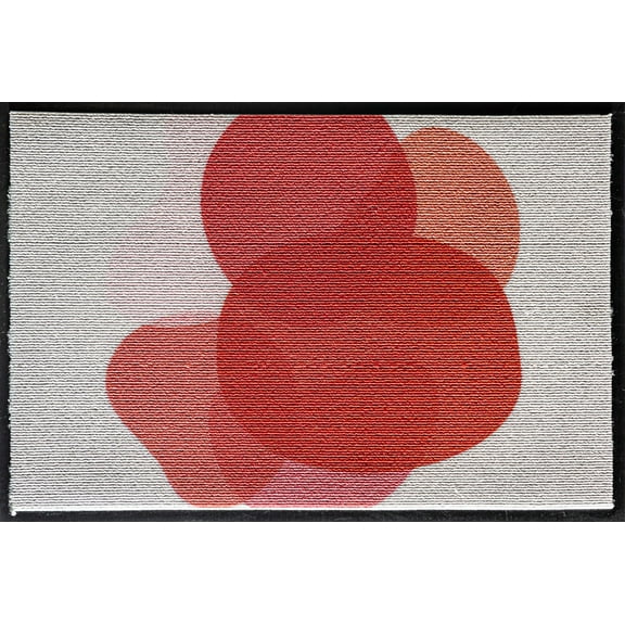 Rugs America LO15A 20"x31.5" Entry Rug Non-Slip Washable Indoor Door Mat, Small Oriental Accent Throw Rug for Bedroom Kitchen Entryway Bathroom