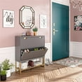 CosmoLiving by Cosmopolitan Brielle Entryway Shoe Storage, Graphite ...