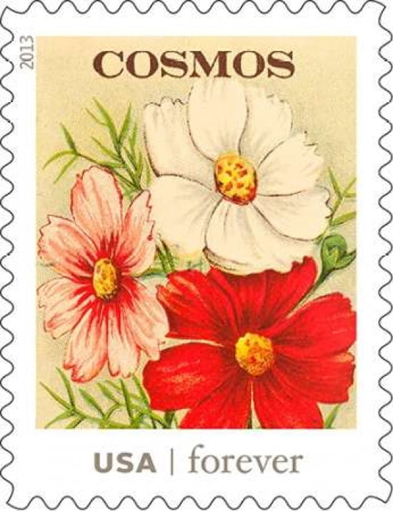Cosmos Canvas Art - US POSTAL SERVICE (22 x 28)