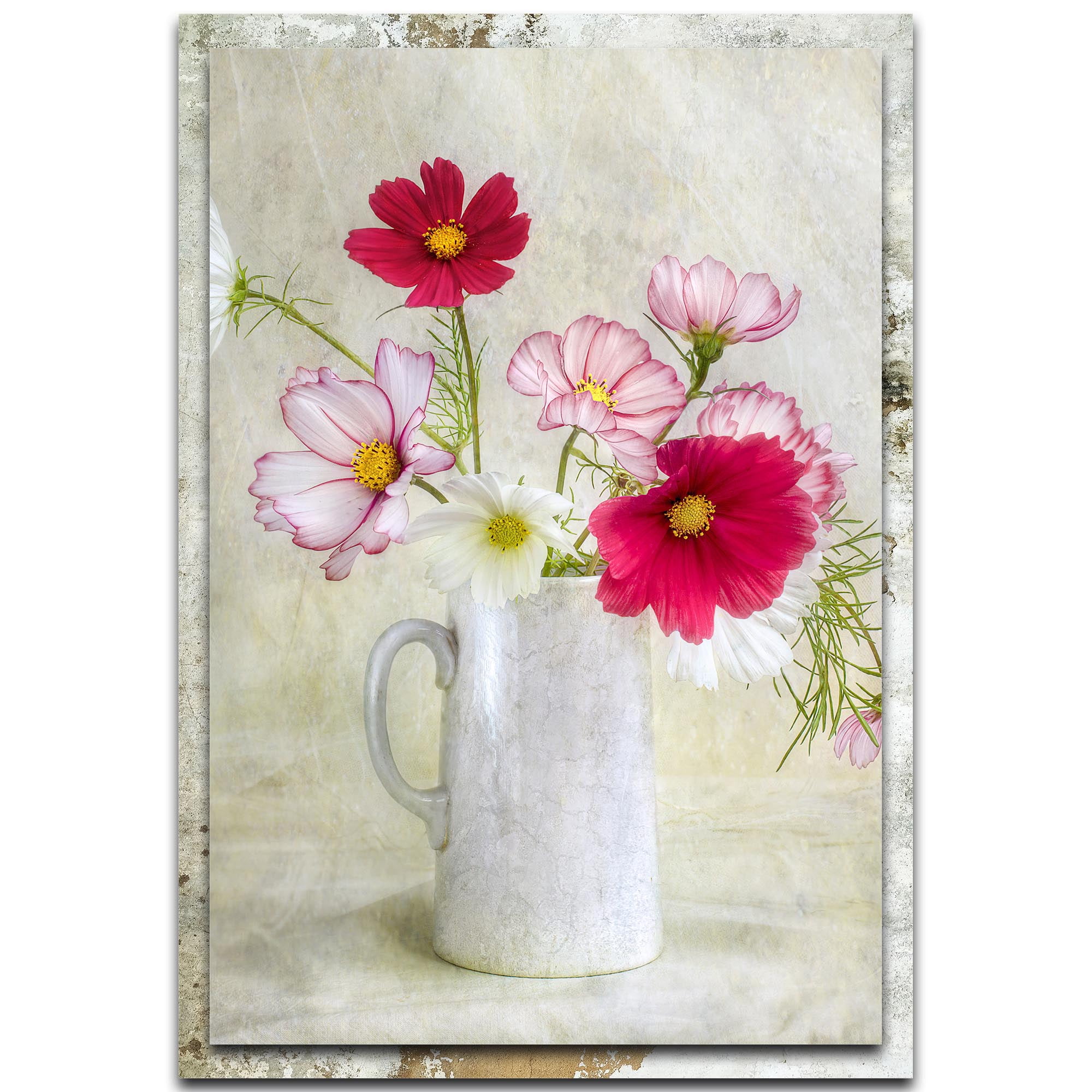 Cosmos Carnival Distressed Frame