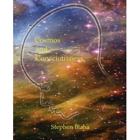 Cosmos and Consciousness: Quantum Computers, Superstrings, Programming, Egypt, Quarks, Mind Body Problem, and Turing Machines Second Edition Paperback