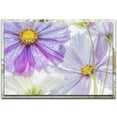 thumbnail image 1 of Cosmos Cool Distressed Frame, 1 of 2