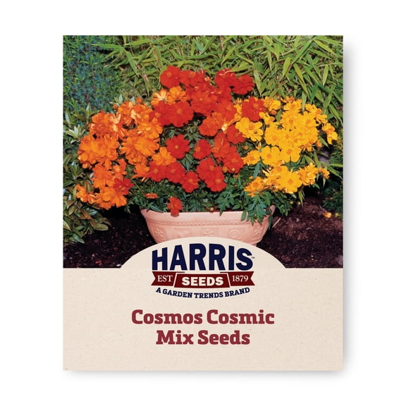 Harris Seeds Cosmic Mix Cosmos, Orange Red and Yellow Flowers for Gardens and Containers, 50 Count