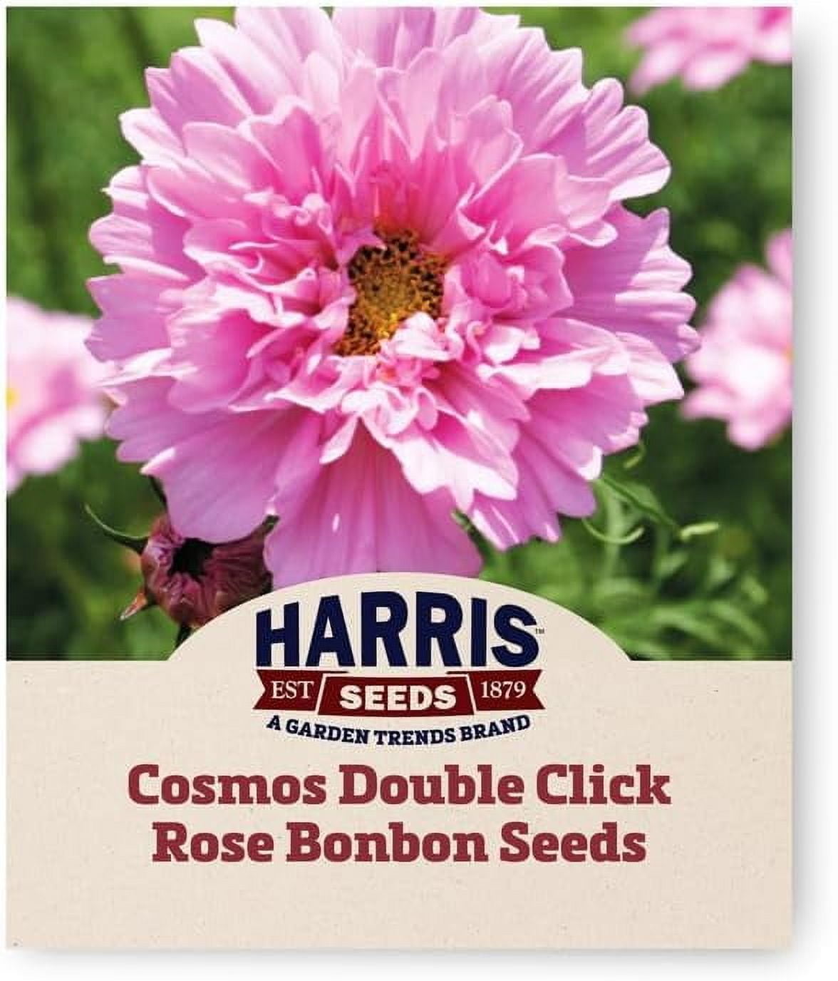 Harris Seeds - Cosmos Double Click Seeds Rose Bonbon Flowers - 250 ...