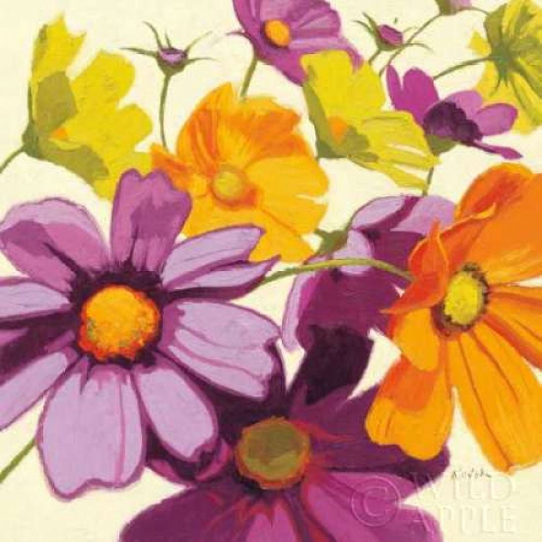 Cosmos I Canvas Art - Shirley Novak (24 x 24)