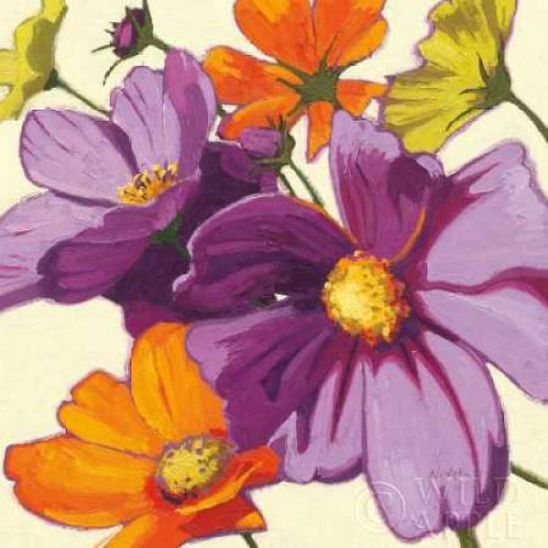 Cosmos II Canvas Art - Shirley Novak (24 x 24)