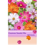 Cosmos Seeds Mix 500 -Tall Cosmos Flowers Seed for Planting Butterfly Favorite Annual Flower Seeds for Outdoor ,Garden Backyard Borders
