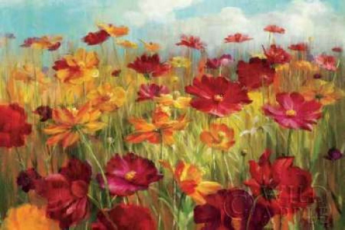 Cosmos in the Field Canvas Art - Danhui Nai (24 x 36)