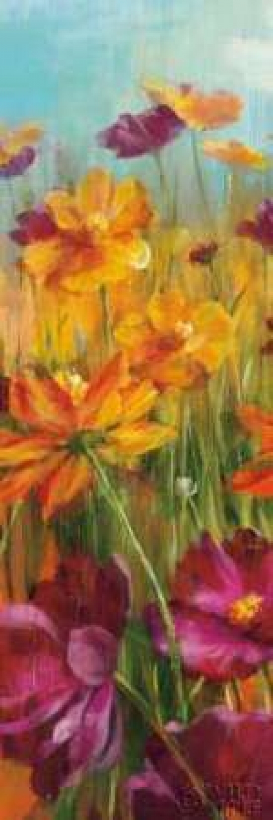 Cosmos in the Field II Canvas Art - Danhui Nai (8 x 24)