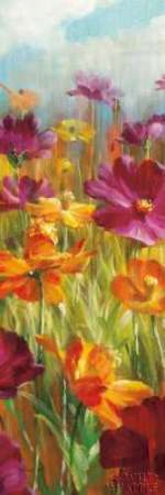 Cosmos in the Field III Canvas Art - Danhui Nai (12 x 36)