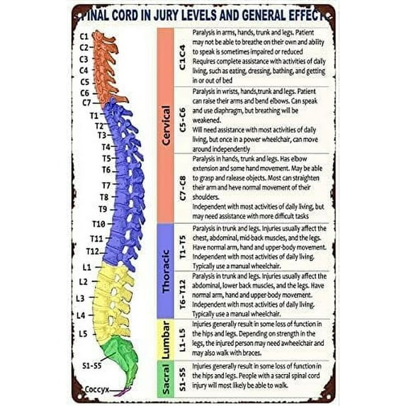 CosrKee Metal Tin Sign Chiropractor Spinal Cord Injury Levels Wall Decor 12x16 Inch