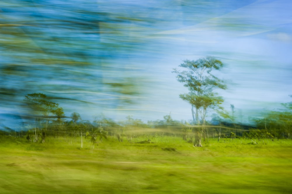 Costa Rica Blurred Countryside Canvas Art - Corey Hochachka Design Pics (17 x 11)