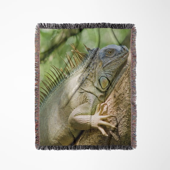 Costa Rica, Green Iguana Lizard - Sa22 Mwi0026 - Mark Williford, Woven Blanket