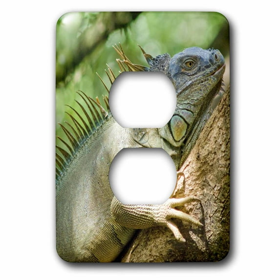 3dRose, Costa Rica, Green Iguana lizard - SA22 MWI0026 - Mark Williford, 2 plug outlet cover