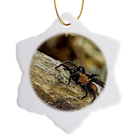 3drose, Costa Rica, Guanacaste. Costa Rican Tiger Rump Tarantula in the Forest, 3 inch Snowflake Porcelain Ornament