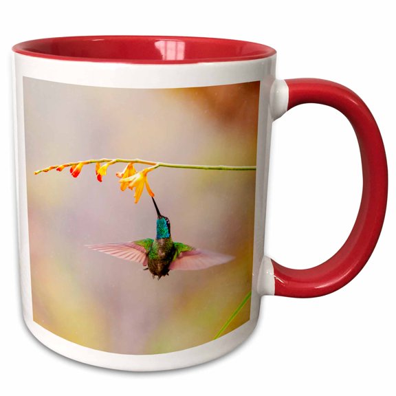 3drose, Costa Rica. Male Talamanca Hummingbird, Feeding, 11oz Two-tone Red Mug
