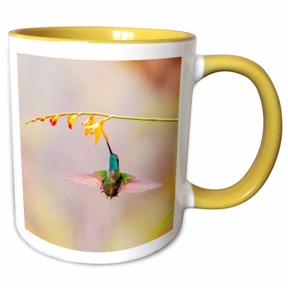 3drose, Costa Rica. Male Talamanca Hummingbird, Feeding, 11oz Two-tone Yellow Mug