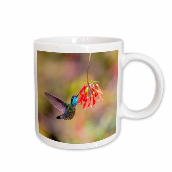 3drose, Costa Rica. Male Talamanca Hummingbird Feeding, 15oz Mug