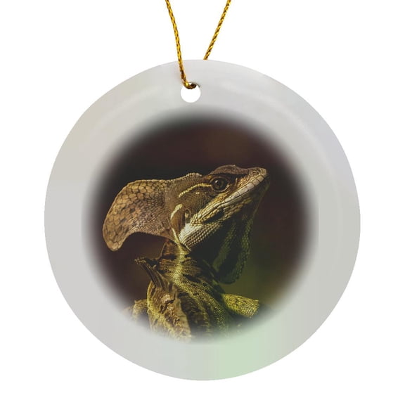 3drose, Costa Rica, Parque Nacional Carara. Male Common Basilisk Lizard., Circle Porcelain Ornament