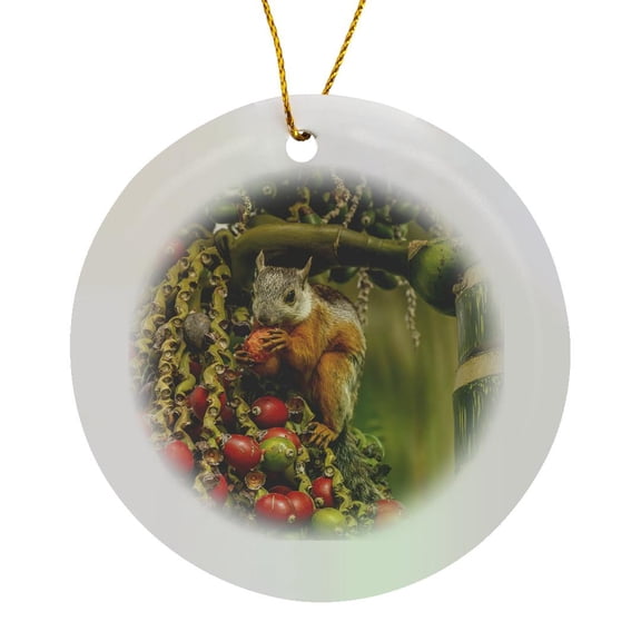3drose, Costa Rica, Parque Nacional Carara. Variegated Squirrel Eating Fruit., Circle Porcelain Ornament