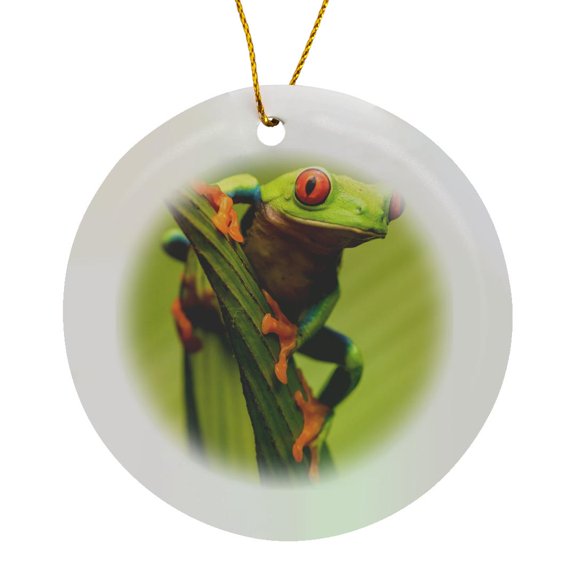 3drose, Costa Rica. Red-eyed Tree Frog Close-up., Circle Porcelain Ornament