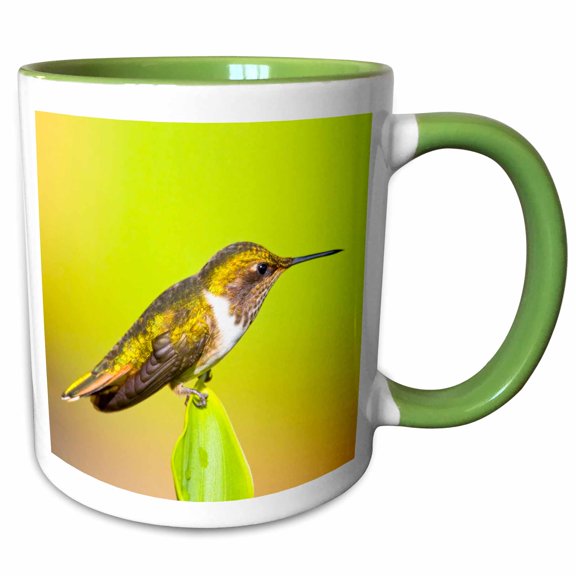 3drose, Costa Rica, Rio Savegre, Scintillant Hummingbird - Sa22 Bja0006 - Jaynes Gallery, 11oz Two-tone Green Mug
