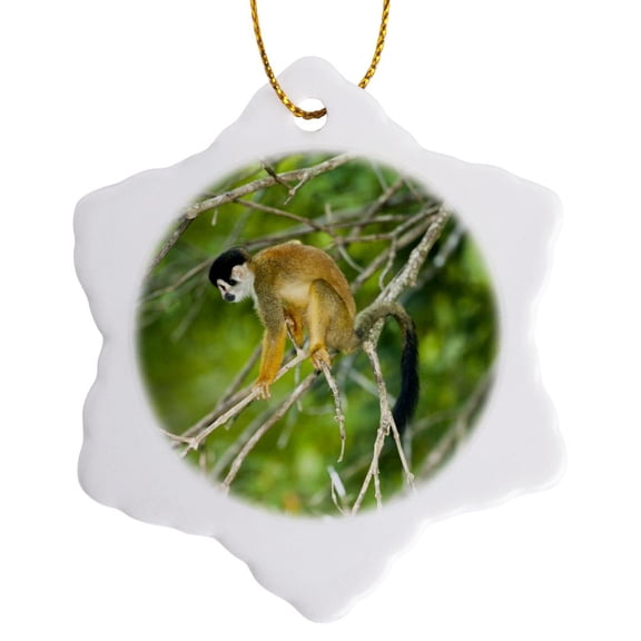 3drose, Costa Rica, Squirrel Monkey Climbing Tree - Sa22 Jmc0015 - Joe and Mary Ann Mcdonald, 3 inch Snowflake Porcelain Ornament