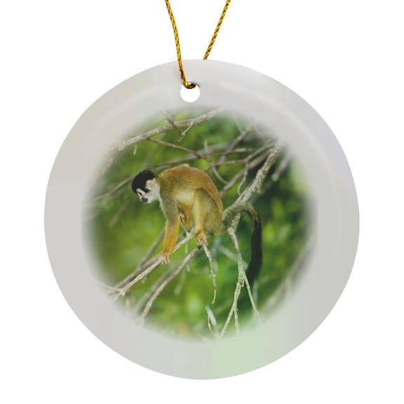 3drose, Costa Rica, Squirrel Monkey Climbing Tree - Sa22 Jmc0015 - Joe and Mary Ann Mcdonald, Circle Porcelain Ornament