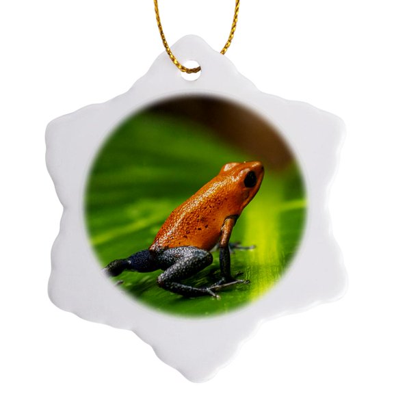 3drose, Costa Rica. Strawberry Poison Dart Frog on Leaf., 3 inch Snowflake Porcelain Ornament