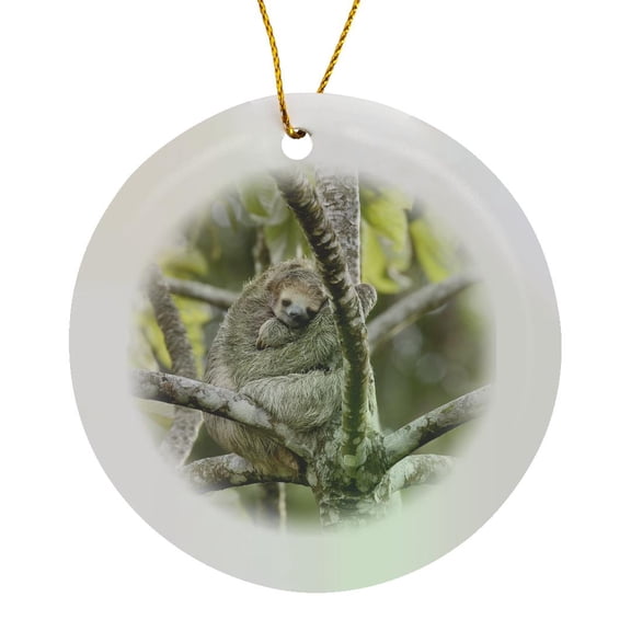 3drose, Costa Rica, Three-toed Sloth Wildlife - Sa22 Bja0001 - Jaynes Gallery, Circle Porcelain Ornament