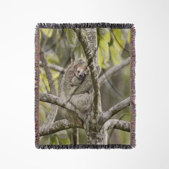 Costa Rica, Three-Toed Sloth Wildlife - Sa22 Bja0001 - Jaynes Gallery, Woven Blanket