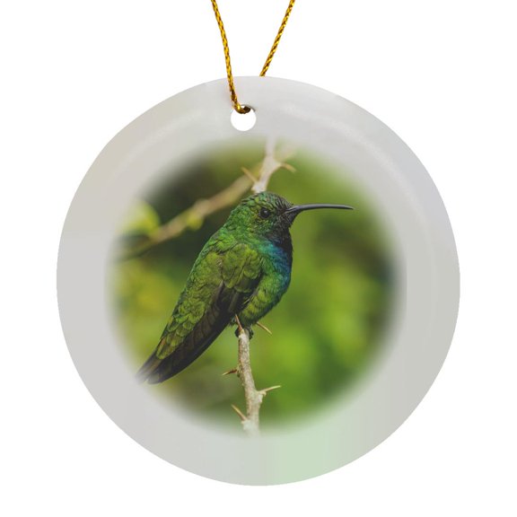 3drose, Costa Rica, Tuis Valley. Green-breasted Mango Hummingbird on Limb., Circle Porcelain Ornament