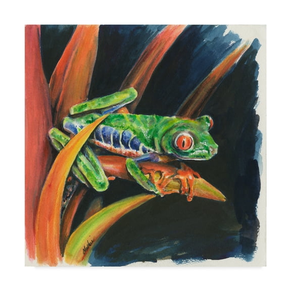 Costa Rican Leaping Frog' Canvas Art by Charlsie Kelly