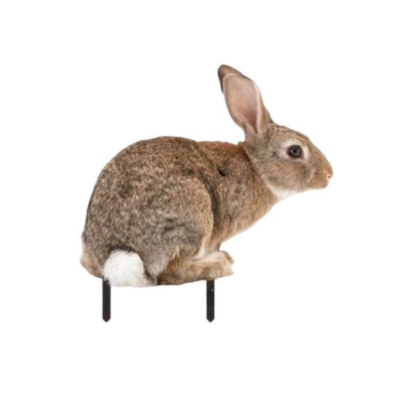 Costeam Garden Stake Animal Model Decor, Simulation Figurine for Yard and Lawn