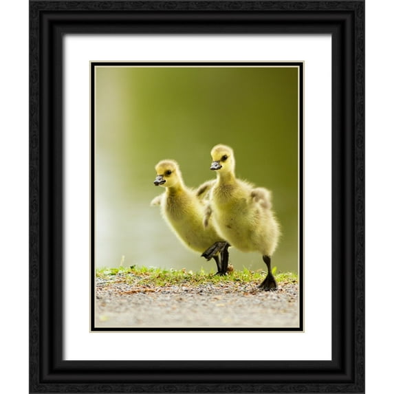 Costina, Mircea 15x18 Black Ornate Wood Framed with Double Matting Museum Art Print Titled - 1, 2, 3, Go!